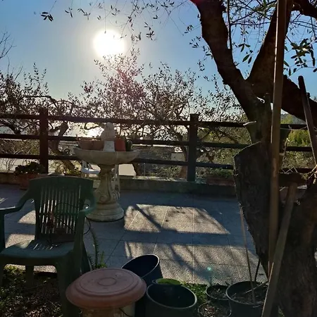 Casa Elvira * Seglia San Bernardo